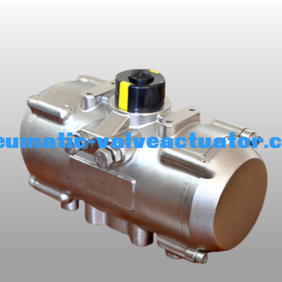 Acciaio inossidabile SS304 SS306 Attuatore pneumatico rotante a doppia azione